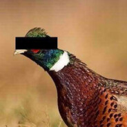 Rapujący⭕⃤Wójt