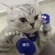 喵喵打拳