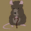 mouse md