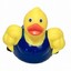 The German Ducky