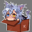 Valkykitten
