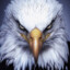 eagle-