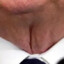 Trump&#039;s Greasy Neck Vagina