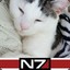 JoeyCat