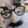 Professor cat