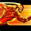 Flash