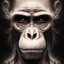 Old_Monkey_