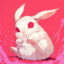 a newborn bunny
