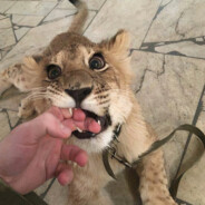 吃两碗粉只给一碗的钱