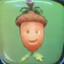 Acorn4