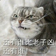 玩家头像