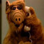 Alf