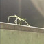 get stuck bugged lol