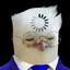 Medic bird
