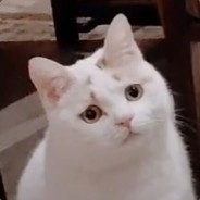 别拽人家红领巾