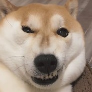 须天月