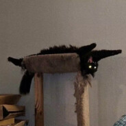 该账号已被封禁