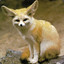 FENNEC70