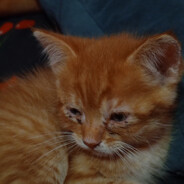 Я Укуренный