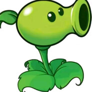 🟢 🟢 🟢 🟢 🟢 🟢