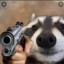 WarriorEli7939