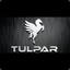 Tulpar23