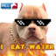 eat water 2