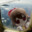 DeluxeTapestry avatar
