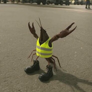 Crustacean Aviation