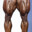 Leg Day Enjoyer