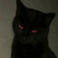 黑猫爱糖果