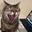 MaryNana avatar