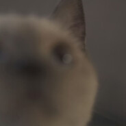 和阿斯代伦网恋被骗300