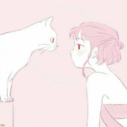 他携秋水观星河