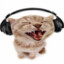 Musical Gatito