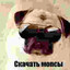 Avatar of player Гамно