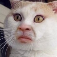 钢铁旋风雷霆小次郎