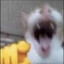 27's avatar