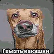 zxcmozgoww