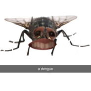 bia filha da vaca