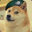 CaptainDoge ✪✪✪