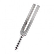 Tuning Fork