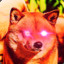 &gt;w&lt;