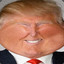 Donald plump