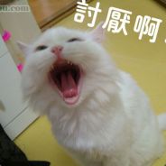 SM
