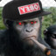 1 Godless Ape