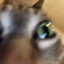 Scott