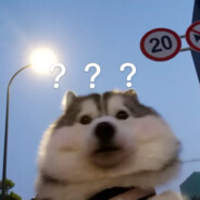 她才18怎么守的住B呢