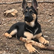 pat