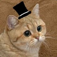 shitlord - steam id 76561197964510534